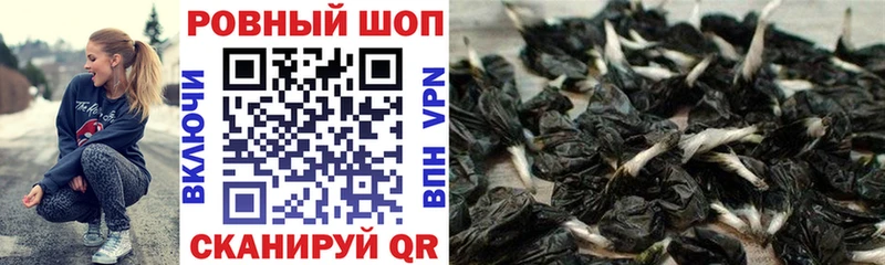 КЕТАМИН Новосокольники