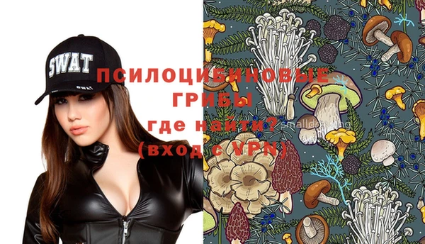 ECSTASY Михайлов