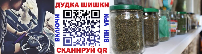 Шишки марихуана сатива  где можно купить   Новосокольники 